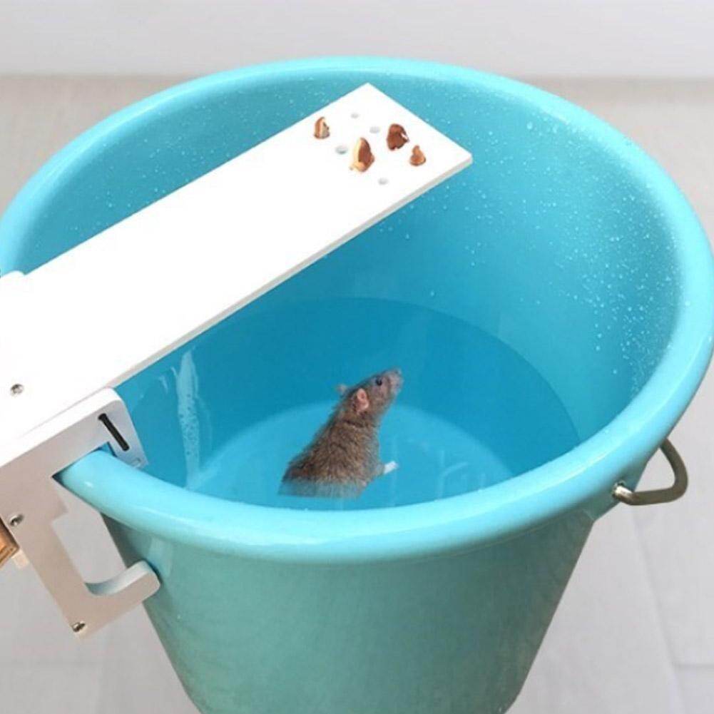 DIY Mouse Trap Mouse Mice Rodent Trap Seesaw Auto Reset Bait Catcher