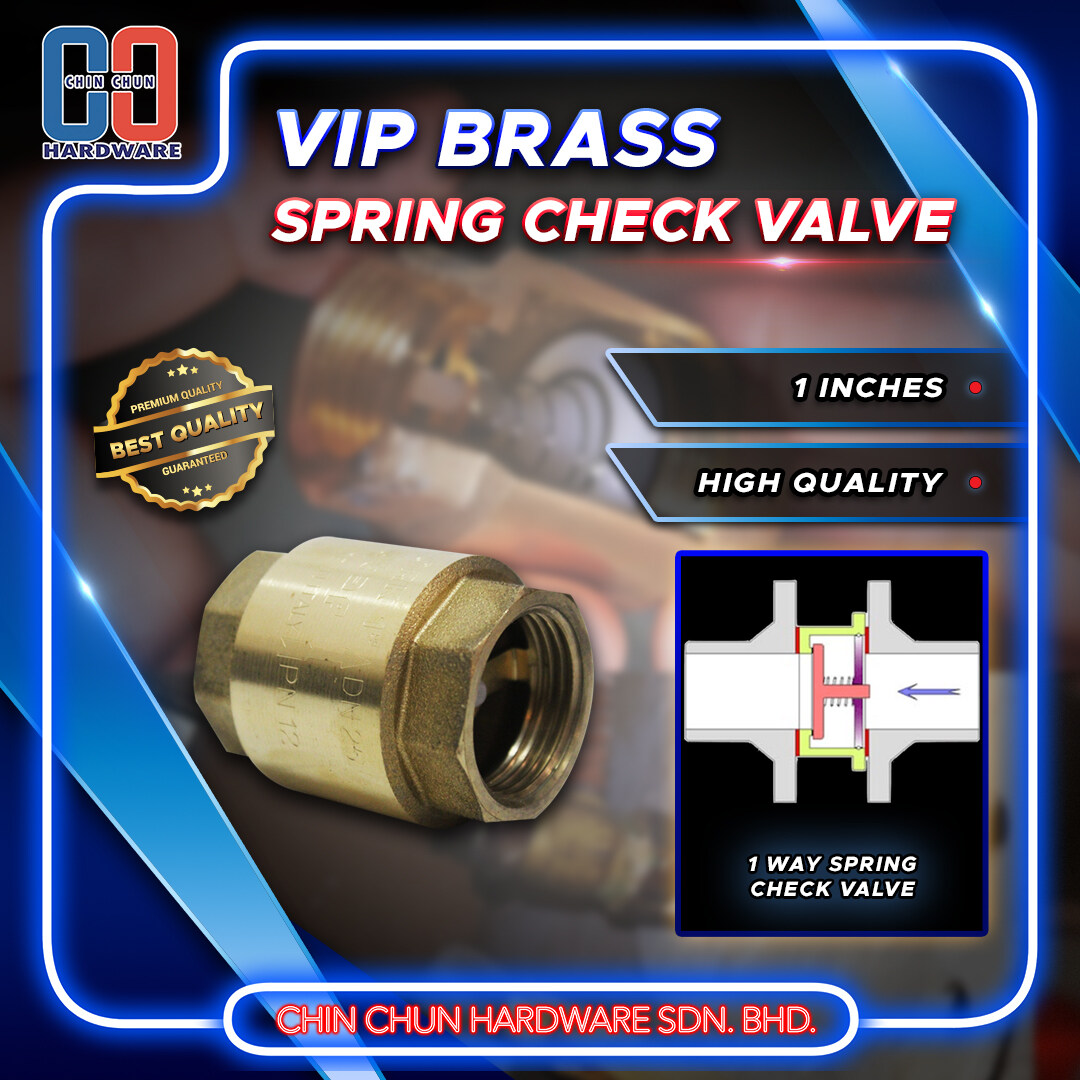 1 Inch 25mm Vip Brass Spring Check Valve Bypass Valve Heavy Duty Vertical Spring Check