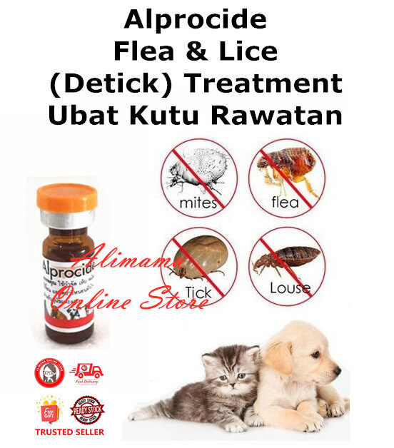 Beli ubat kutu kucing shampoo Pada Harga Terendah  Lazada.com.my