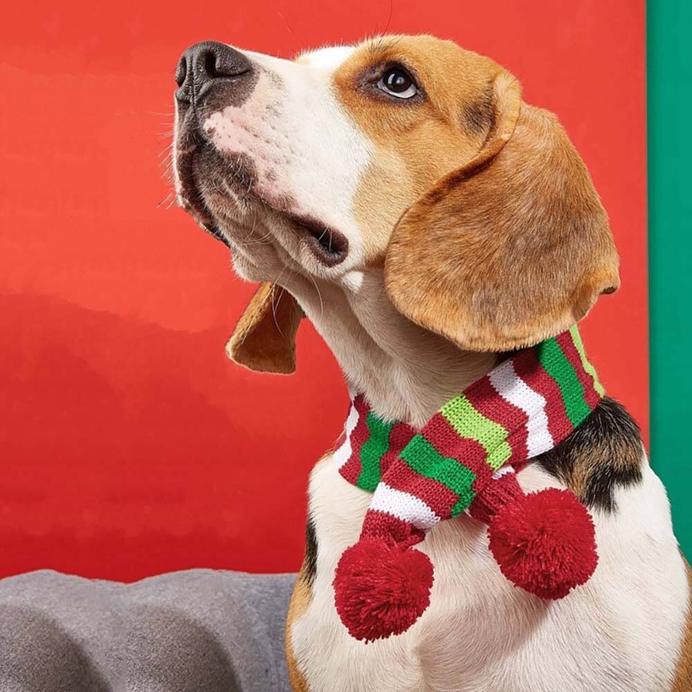 plush puppies christmas collar