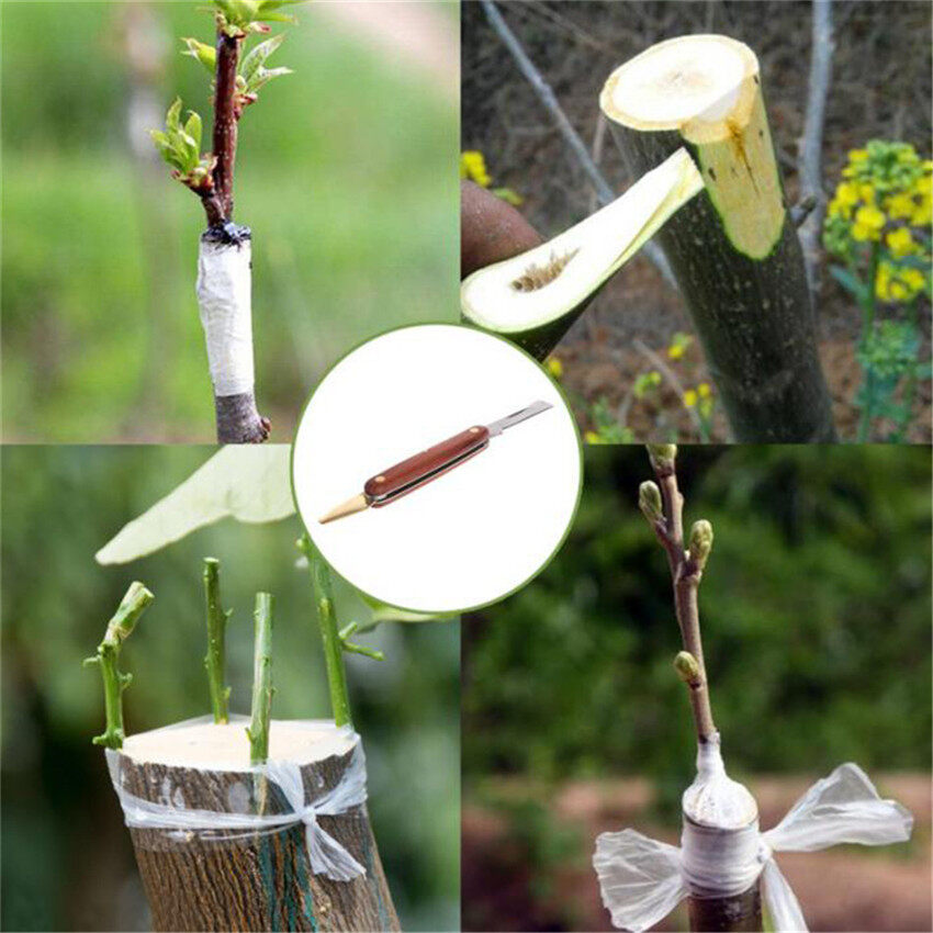 【Còn Hàng】dụng Cụ Cắt Tỉa Ghép, Dụng Cụ Cắt Vườn Gấp Chuyên Nghiệp Cắt Kéo Cây Giống Công Cụ