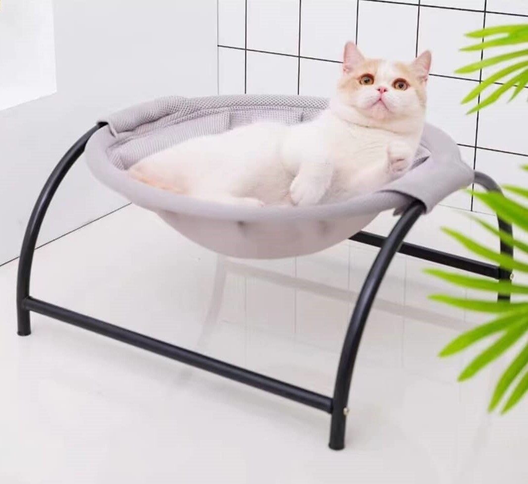 metal cat bed