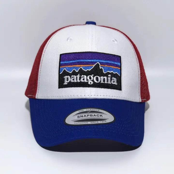 snapback patagonia