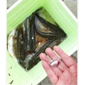 mồi giả ruồi nhỏ chuyên câu lure  (cam kết bán hàng chất lượng có bảo hành)