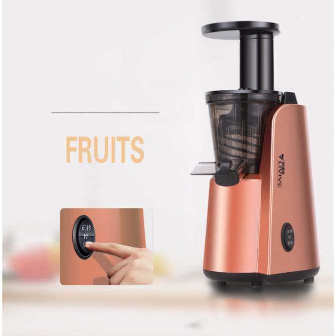 Fruit Electric Whole Slow Juicer Fruit Electric Whole Slow Juicer