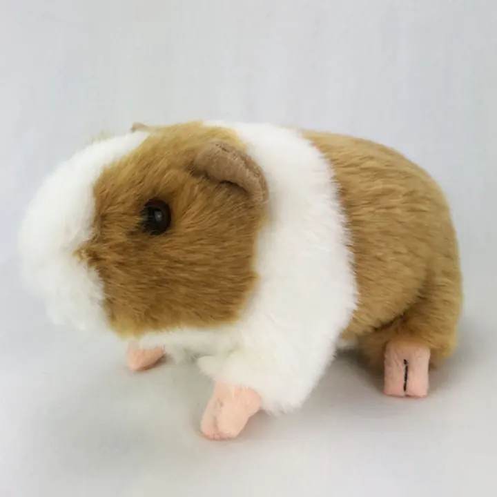 guinea pig stuffed animal