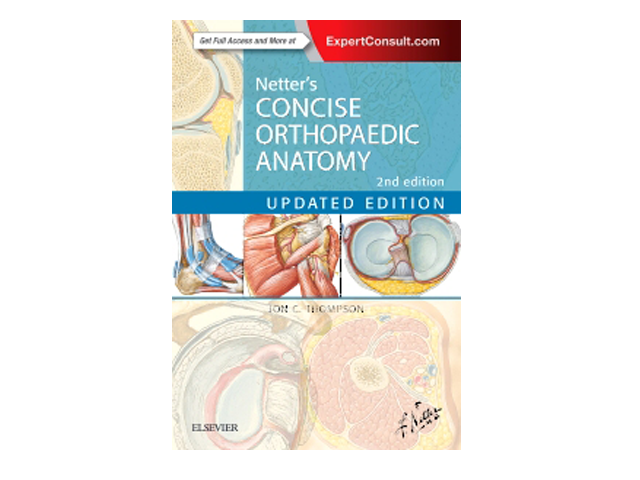 Netter’S Concise Orthopaedic Anatomy, Updated Edition, 2E (Netter Basic ...