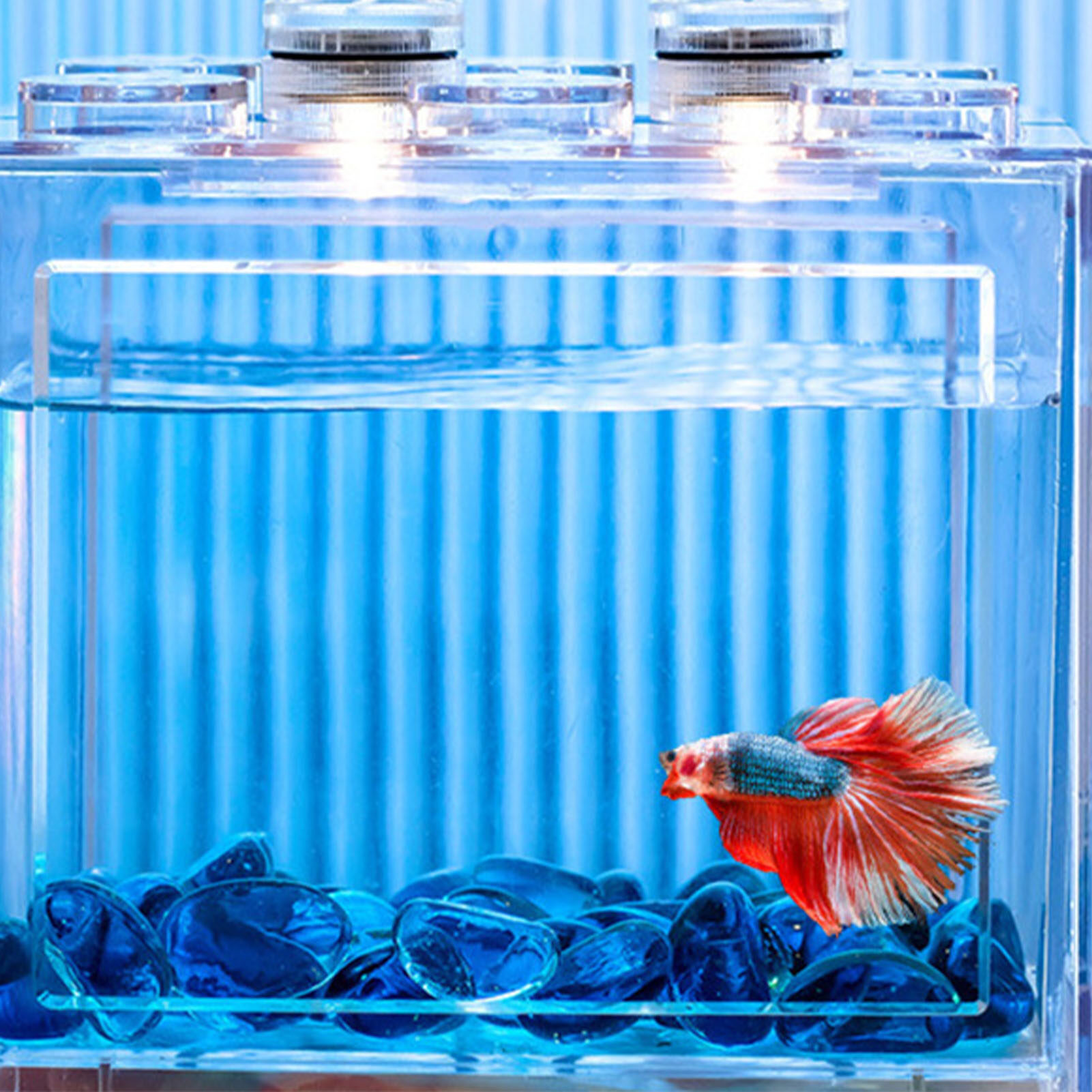 Nhỏ Betta bể cá Acrylic trong suốt Explosionproof Xách Tay Thu Nhỏ bể cá Aquarium Cho Rùa
