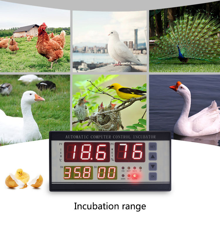YIERYI XM-18 Digital Automatic Small Egg Incubator Thermostat Controller with Temperature Humidity Sensor for Farming