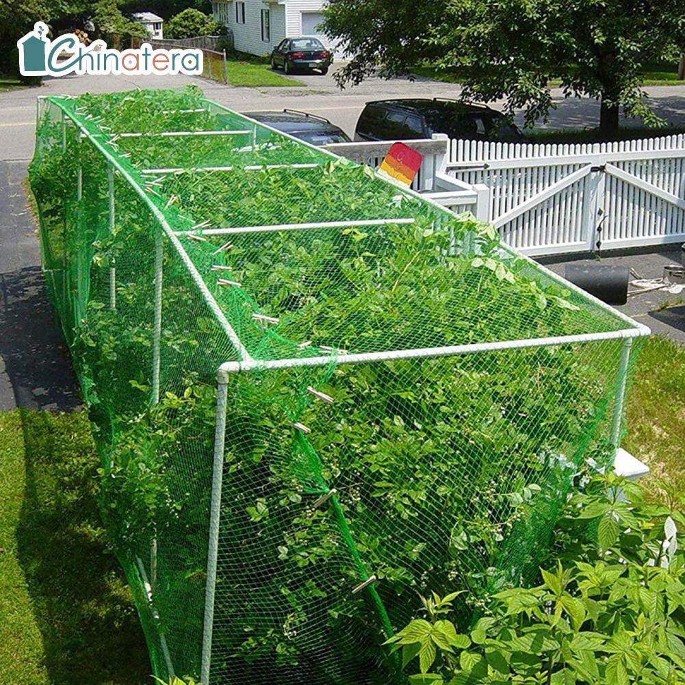 [Chinatera] Reusable PE Anti-bird Nets Garden Fence Fruit Vegetable Tree Plant Crops Protective Trellis Mesh Netting