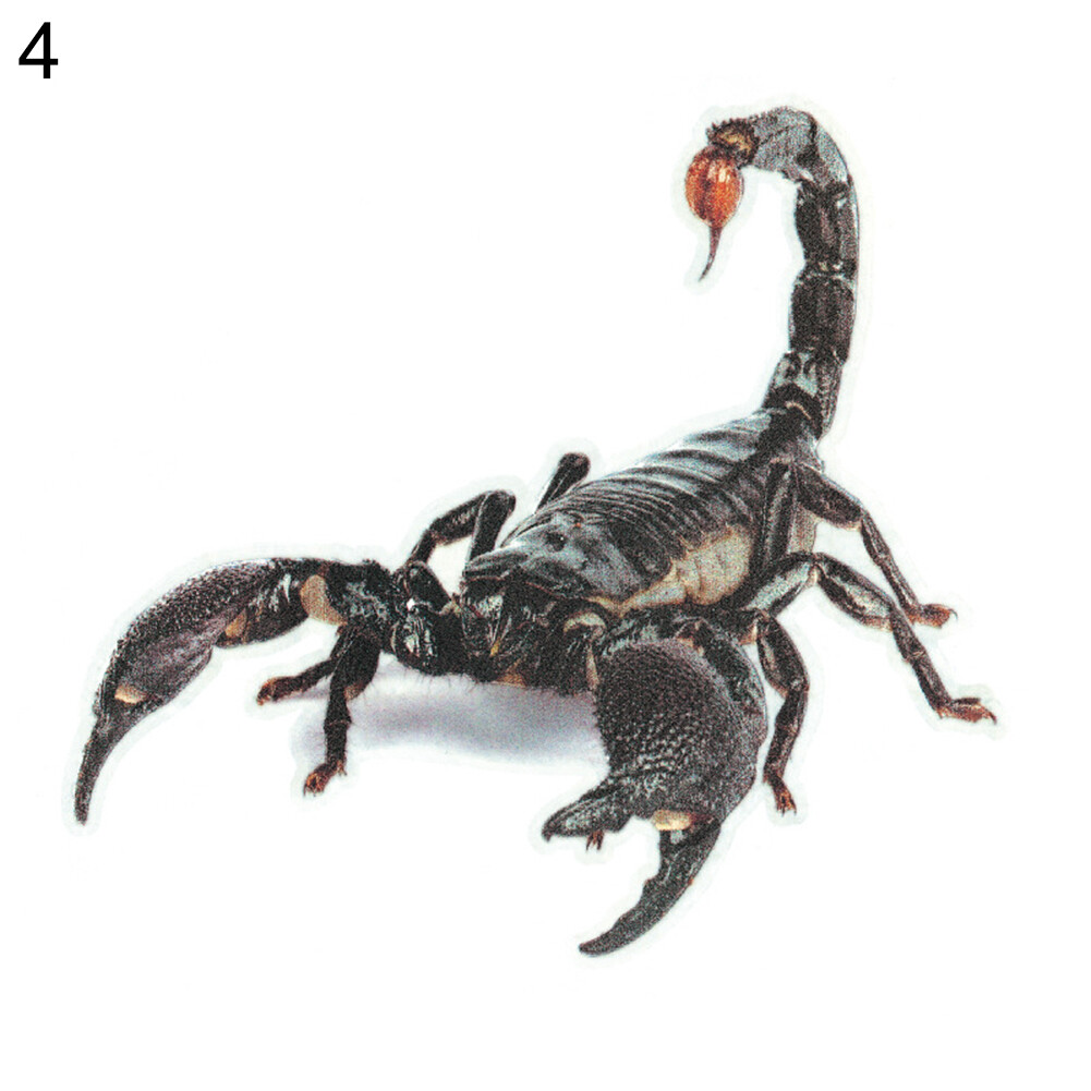 SuperRide 3D Car Sticker Simulation Animal Bumper Door Decor Scorpion Spider Lizard Decal