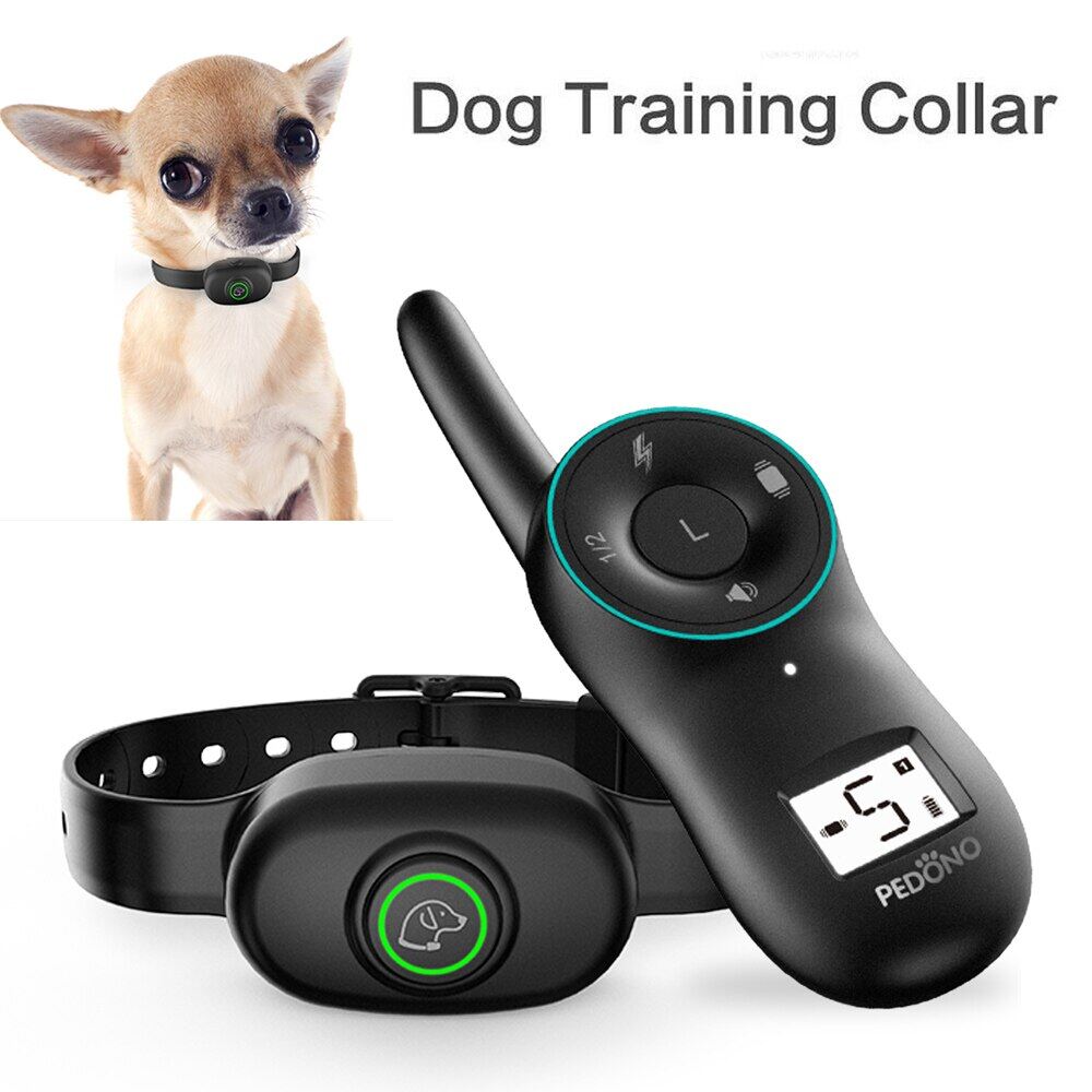 royal pet dog training collar