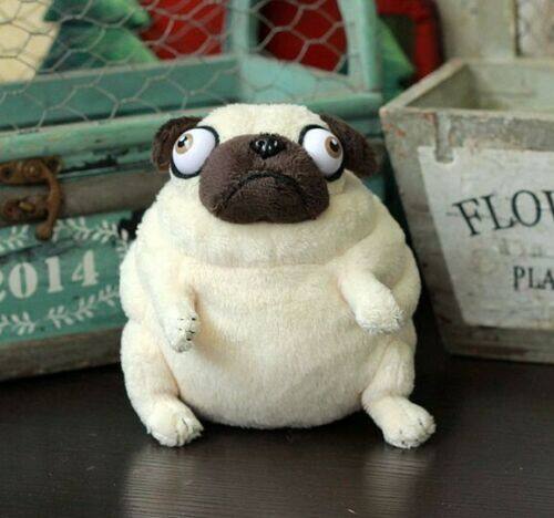 plush pug dog