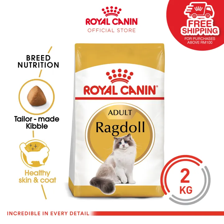 royal canin ragdoll