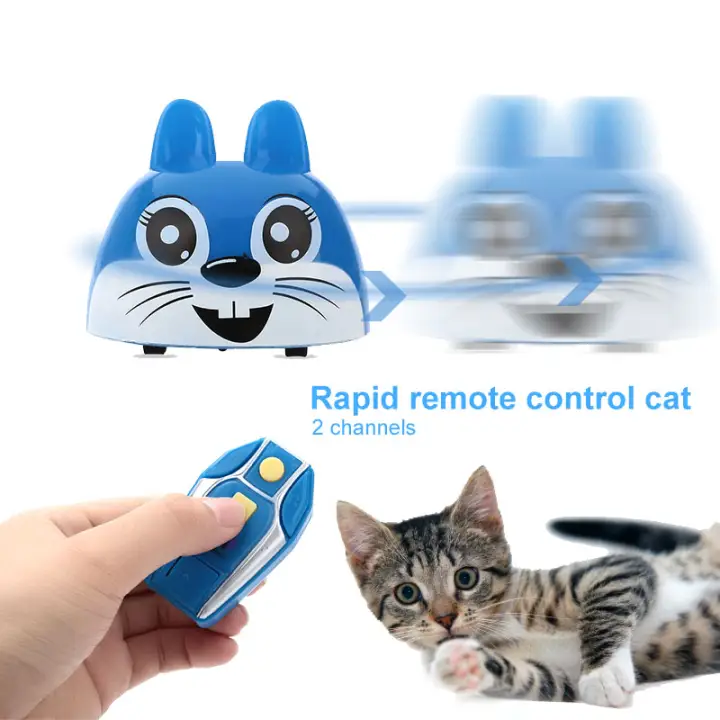 remote control cat toy