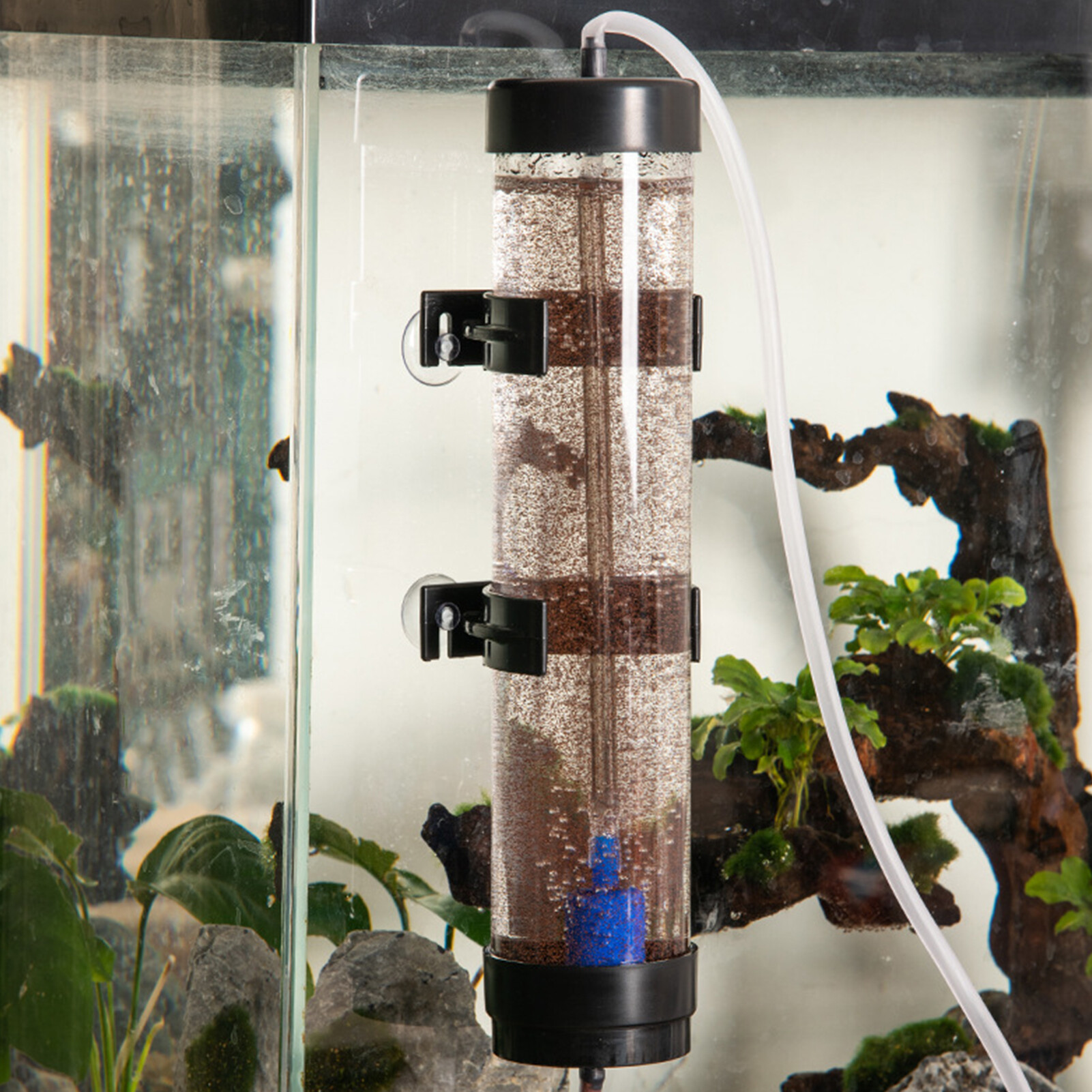Artemia Eggs Hatchery Kit Brine Shrimp Eggs Incubator Premium Material for Brine Shrimp Eggs for Aquarium