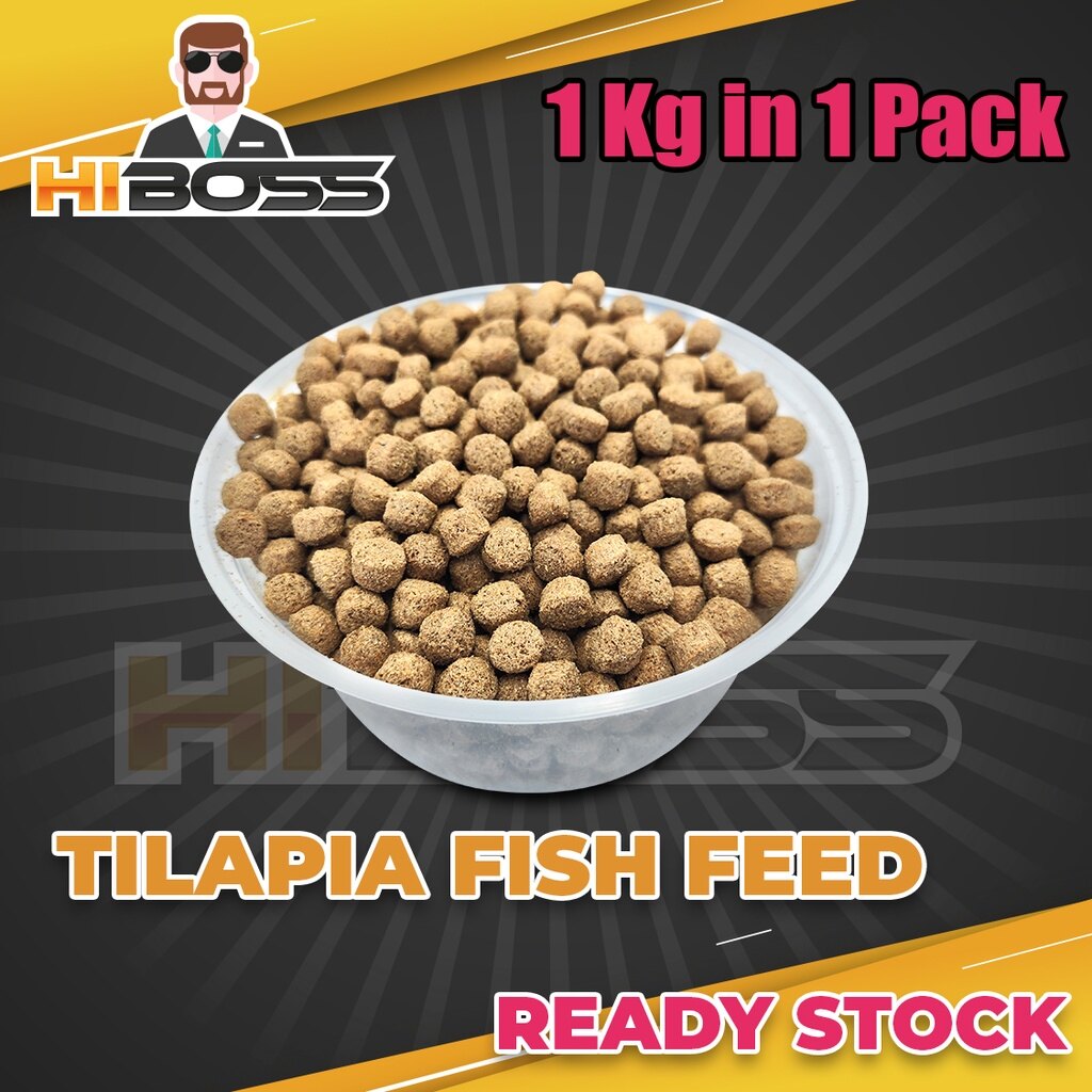 Pellet Makanan Ikan Tilapia 1KG 【 Saiz 9mm 】 HIGH PROTEIN Aquarium Fish