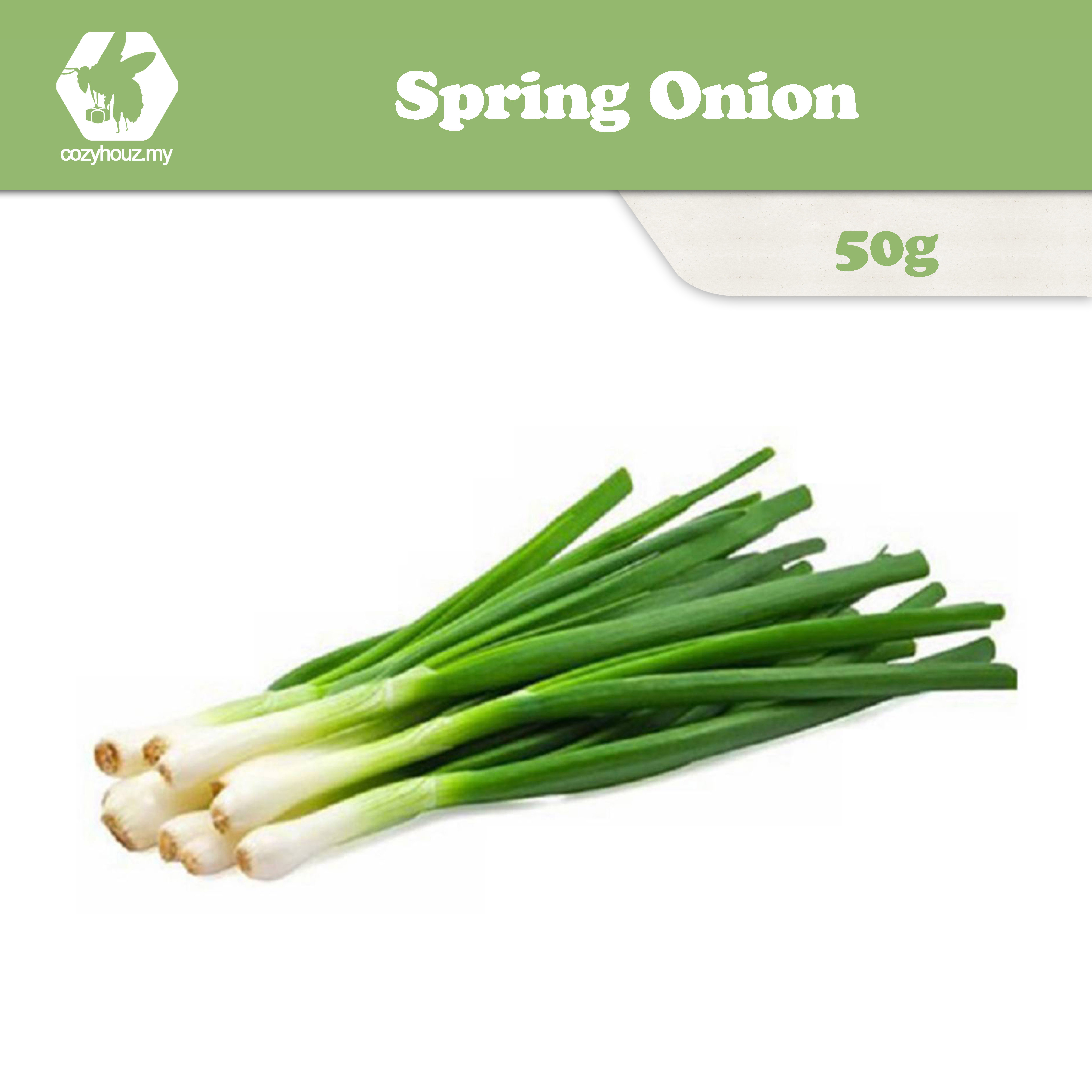 [BTW & PNG AREA ONLY] Spring Onion / Daun Bawang 50g | Lazada