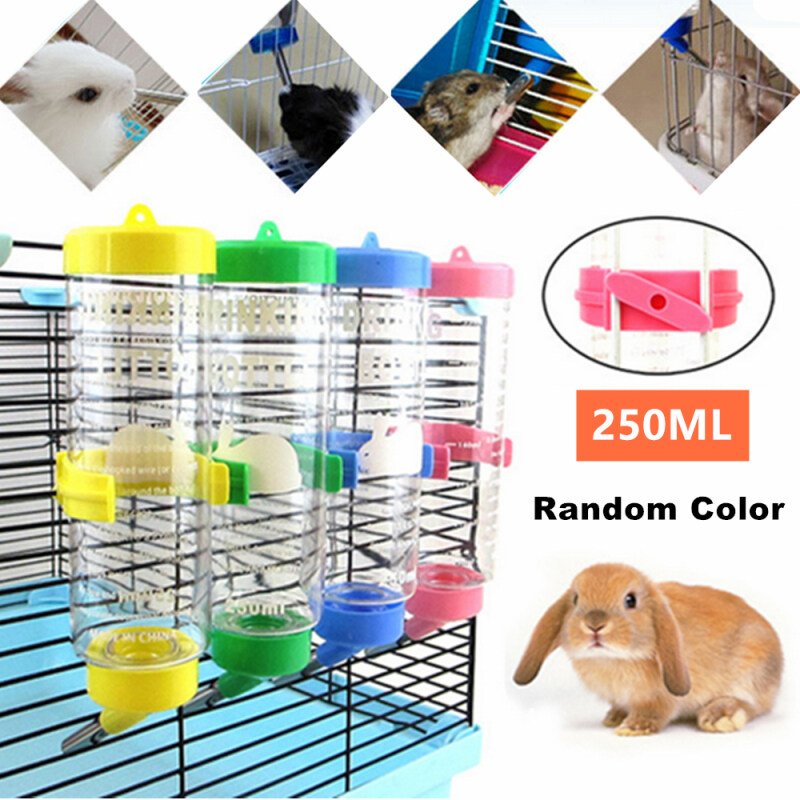 Lý Tưởng Thú Cưng Thỏ Hamster Uống Nước Chai Dạng Treo 250Ml