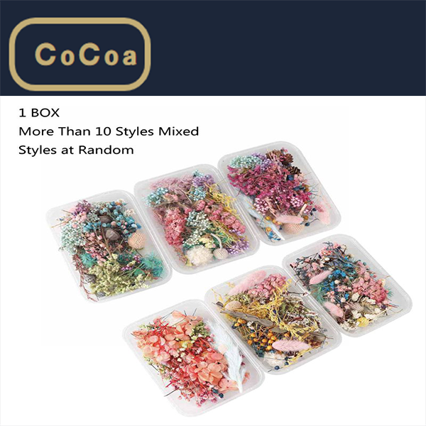 Real Pressed Flower Leaf Dried Daisy Flower Resin Flower Dry Beauty Nail Art Decals Epoxy Mold Fillings Jewelry Making