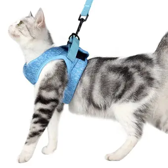 cat harness lazada