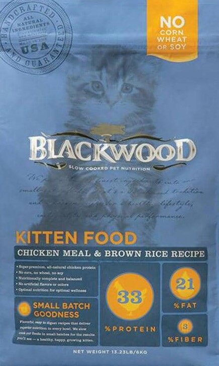 blackwood kitten