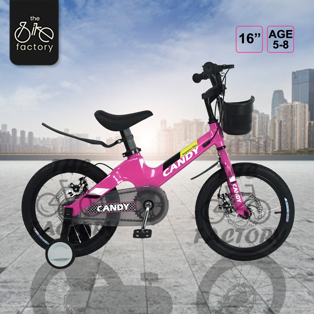 NEW ARRIVAL Bicycle Full Aluminium Alloy Frame 16