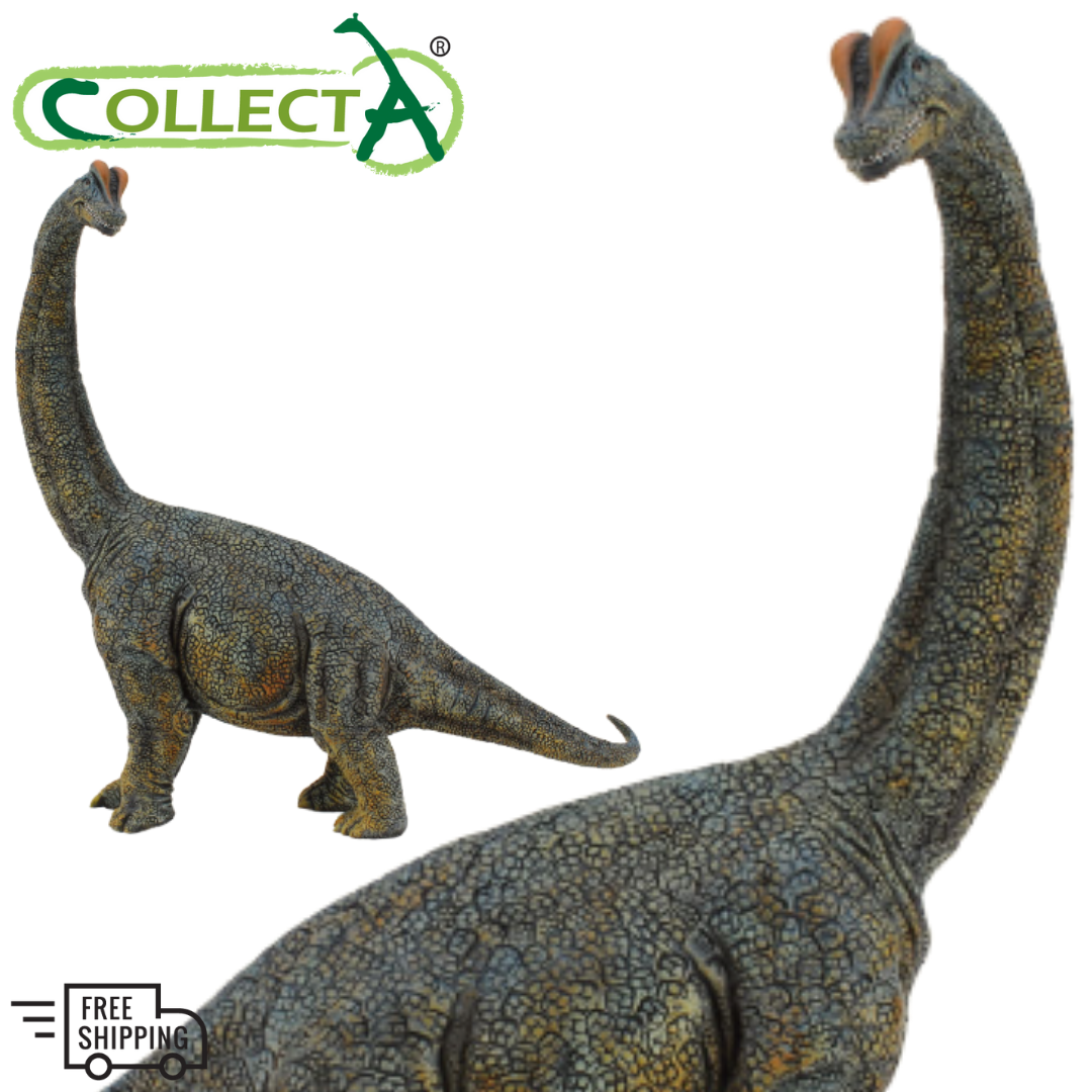 collecta brachiosaurus