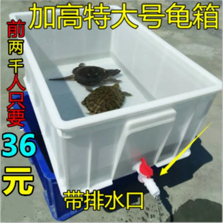 plastic turtle tank