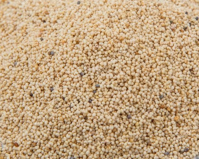 Kas Kas Seed Poppy_Seeds 100g Lazada