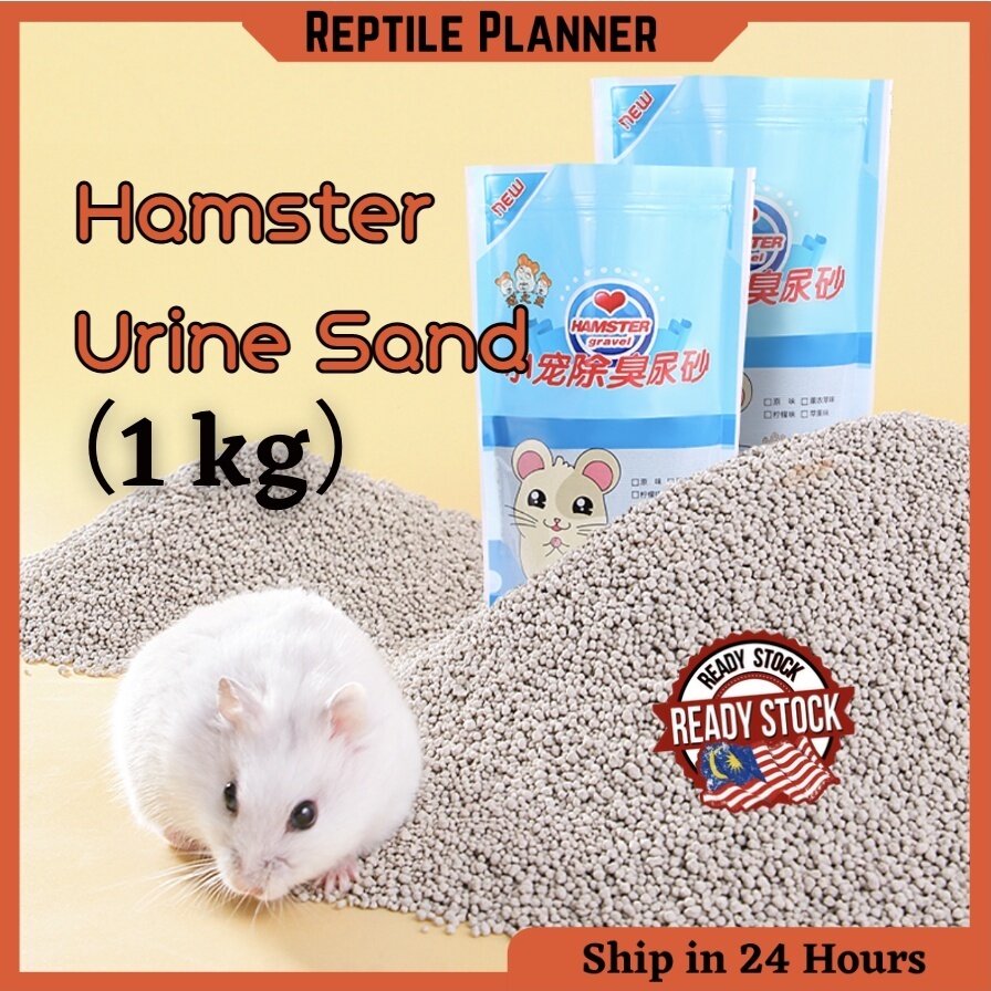 Hamster sand clearance bedding