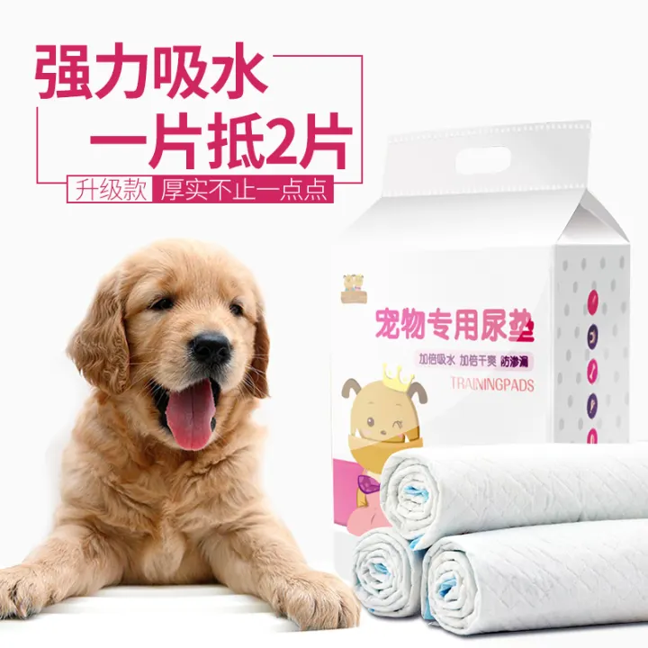 dog menses pad