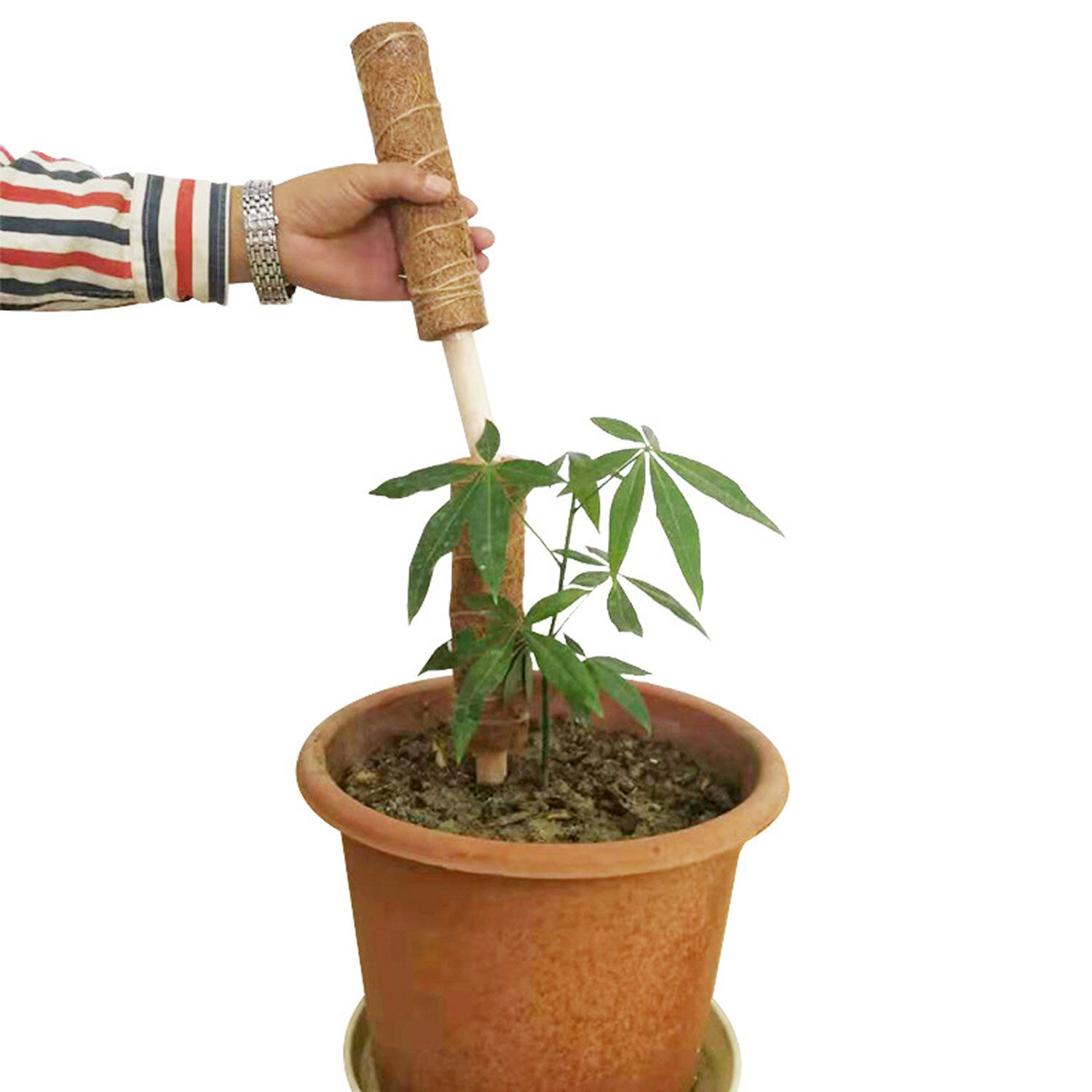 1pcs 12/"Coir Moss Totem Pole Coir Moss Stick for Plant Support Extension Creeper