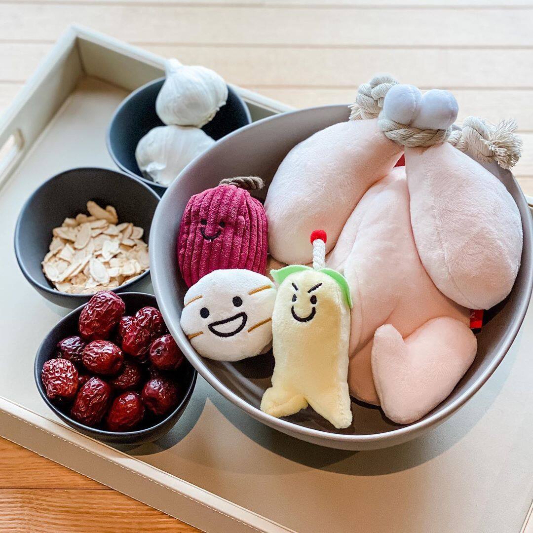 DY Loving INS Type Korean Ginseng Chicken Soup Creative Dog Sniffing Toys Poodle Cute Toys