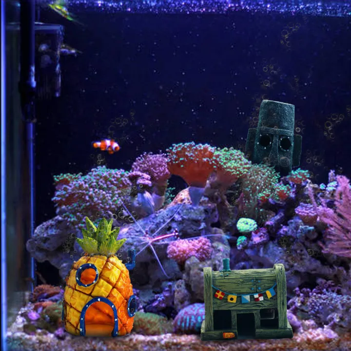 saltwater tank accessories