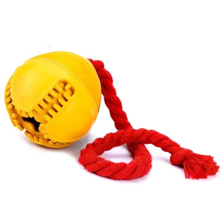 jolly ball with rope