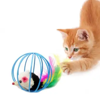 cat toys lazada