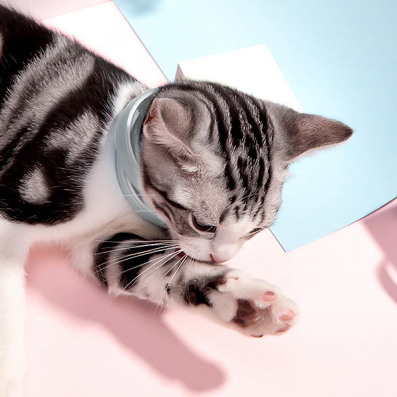 Adjustable Pet Collar For Flea And Pest Control Protect Repel Rubber Necklace Pet Gift New Flea Killer
