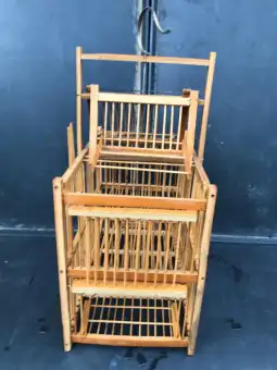 Jebat Burung Malaysia Jebat Burung Mata Putih Malaysia Jebat