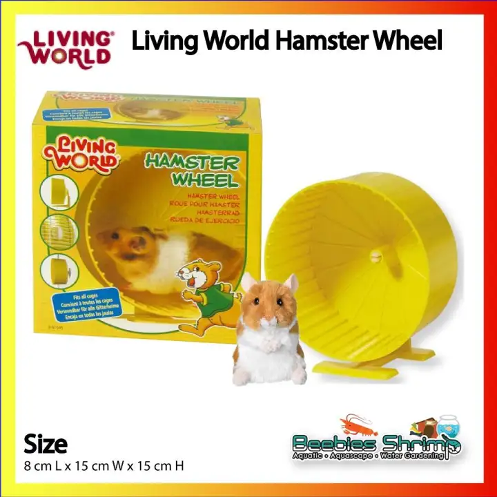 hamster wheel price