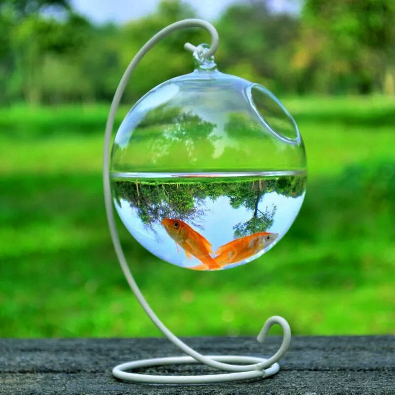 Hanging Mini Fish Tank Desktop Mini Aquarium Tank Bowl for Goldfish Betta Small Fish Succulent Glass Vase