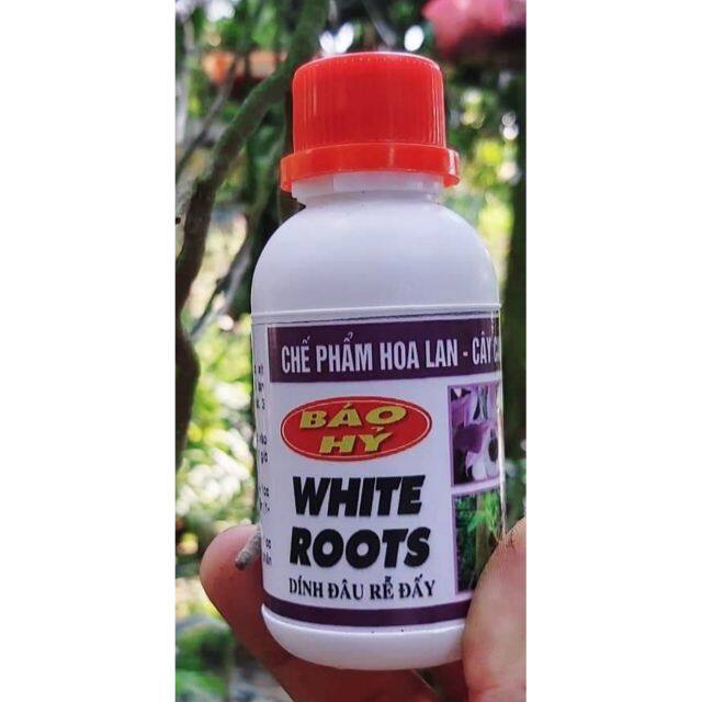 White root - siêu kích rễ báo hỷ lọ 100ml