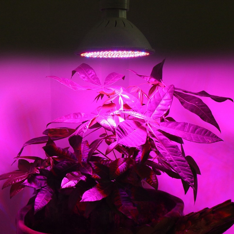 Full Spectrum LED Grow Lamp 200 LED Light for Plant Grow Light Red Blue ...