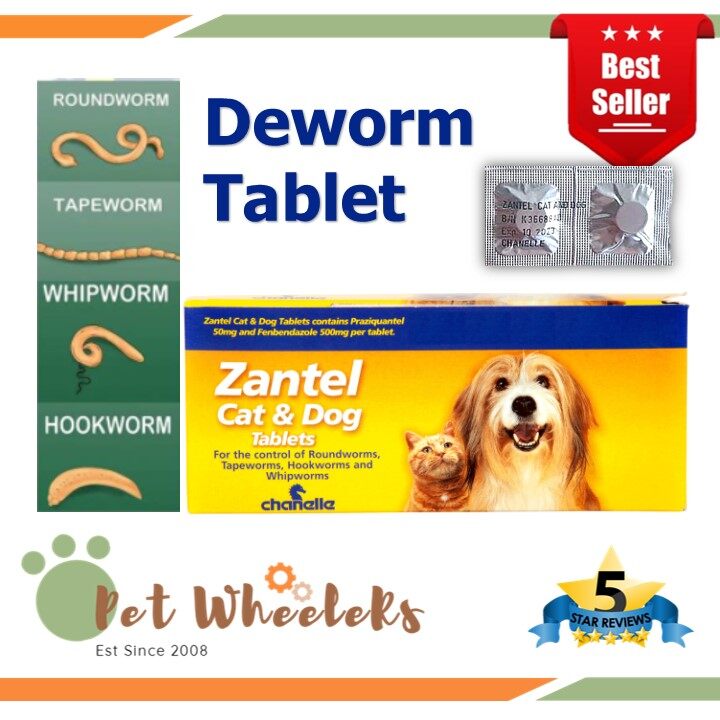 Zantel Cats & Dogs Deworm Tablet Ubat Cacing (1Biji / 1Tablet) Lazada