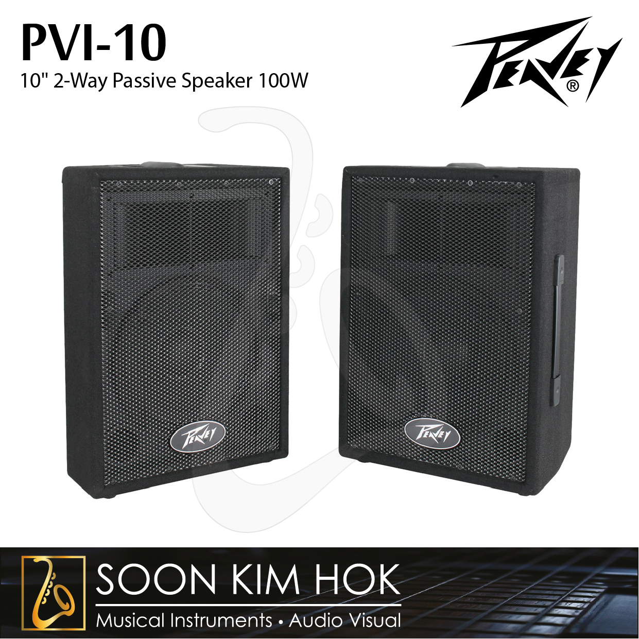speaker pvi 15 inch