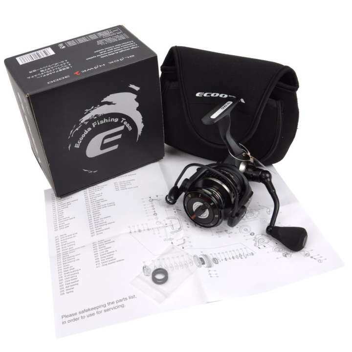 ecooda black hawk