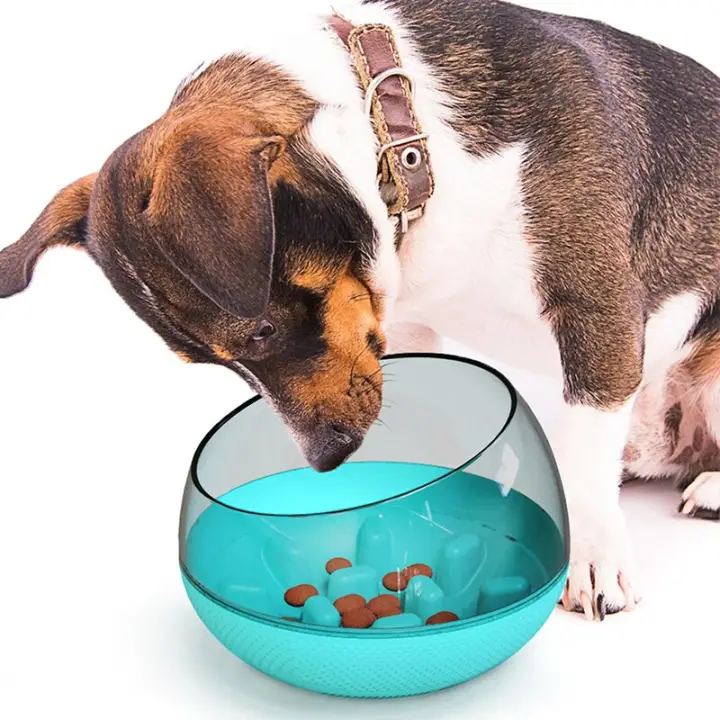 dog food dishes for fast eaters