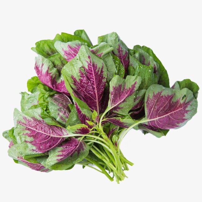 - Gói 20g hạt giống rau dền Tiều xanh đỏ - Nanuseeds