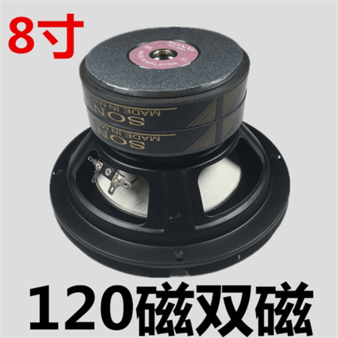 sony speaker 10 inch