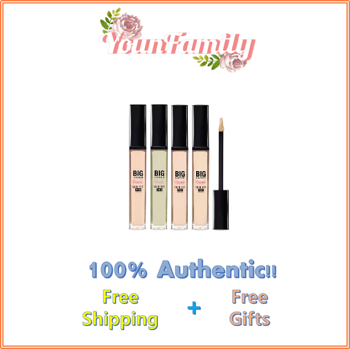 Big cover skin fit concealer pro 7g